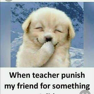 Meet your Posher, Rez